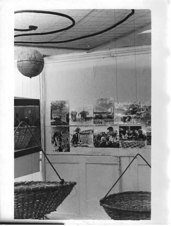 World-in-Grain-of-Sand image 1