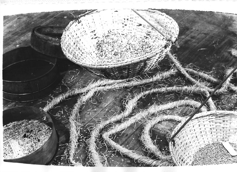 World-in-Grain-of-Sand image 3