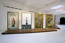 Enchanted Forest installation shot 1