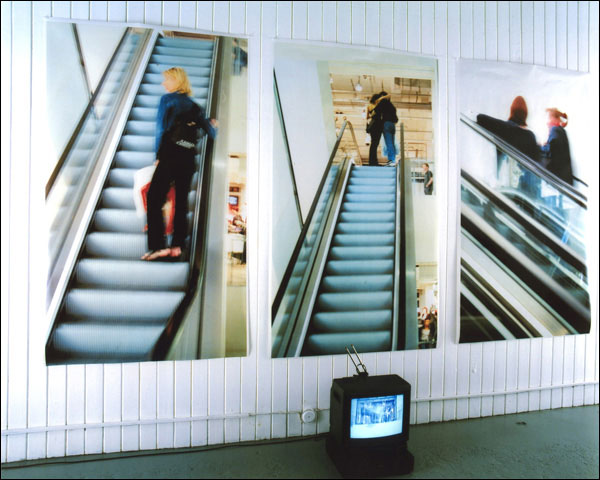 Paradise installation 1
